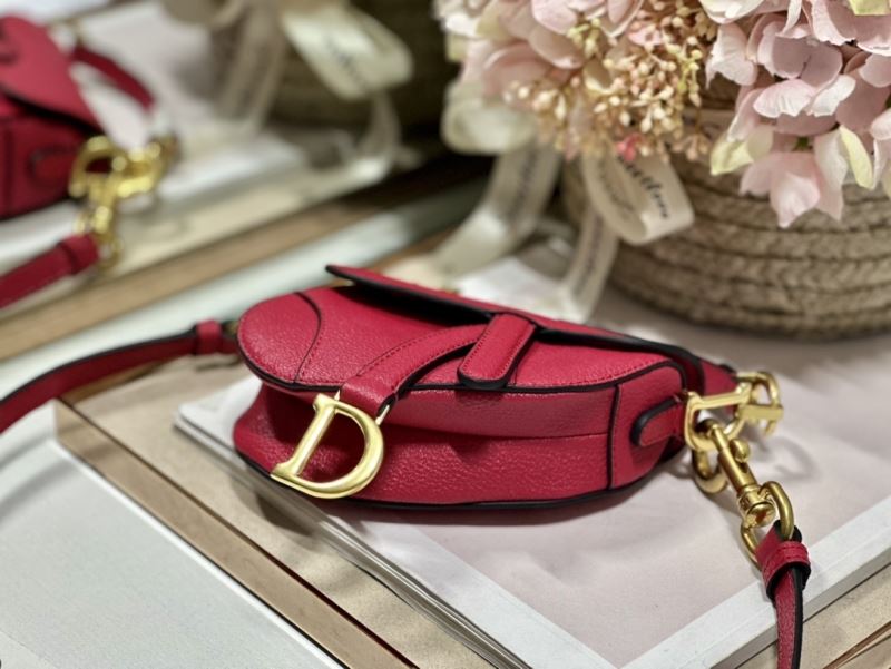 Christian Dior Saddle Bags